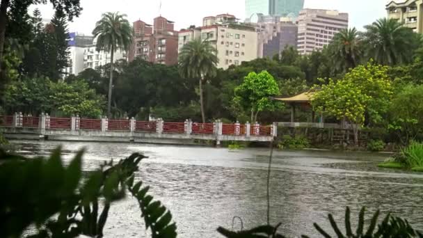 雨の日 台湾の台北市の孫文記念館で鄭山公園の湖の4K橋 — ストック動画