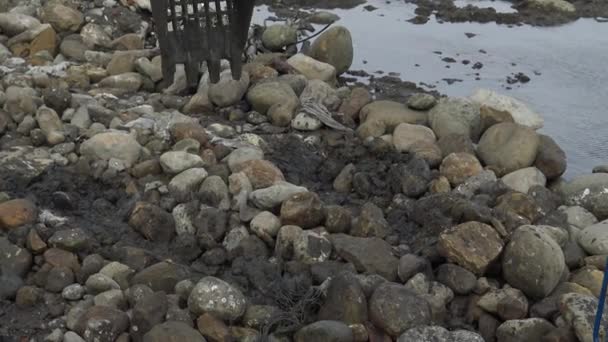 프론트 타이베이에 강에서 굴착기가 — 비디오