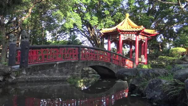 Hermoso Paisaje Pabellón Chino Con Puente Estanque Parque Ciudad Taipei — Vídeo de stock