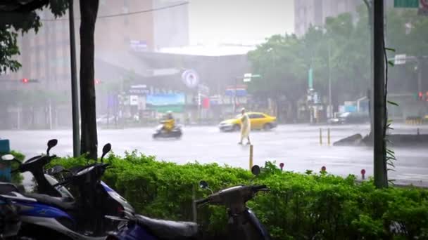 Тайбэй Тайвань Сентября 2016 Года Экстремальный Ветер Дождь Время Супертайфуна — стоковое видео
