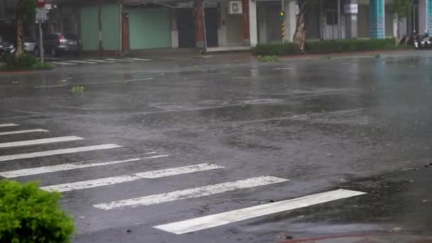 Vento Extremo Chuva Durante Super Tufão Megi Uma Rua Taipei — Vídeo de Stock