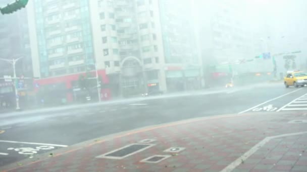 Taipei Tayvan Eylül 2016 Extreme Wind Rain Super Typhoon Megi — Stok video