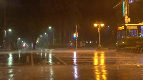 Taipei Taiwán Julio 2017 Viento Extremo Lluvia Durante Tifón Nesat — Vídeos de Stock