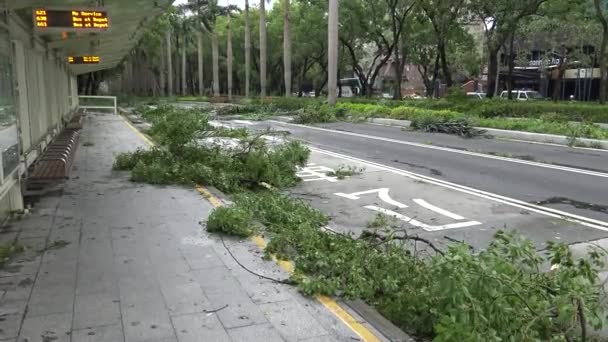 热带风暴袭击台湾后的道路损坏 台风Soudelor Dan — 图库视频影像