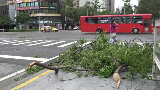 Taipei Taiwan Agosto 2015 Dano Estrada Após Tempestade Tropical Atinge — Vídeo de Stock