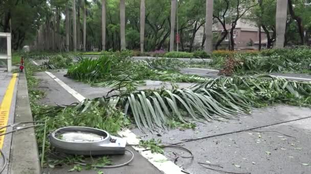 Daños Carretera Después Que Tormenta Tropical Golpea Taiwán Tifón Soudelor — Vídeo de stock