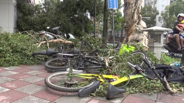Fahrradschäden Nach Tropensturm Taiwan Taifun Soudelor Dan — Stockvideo