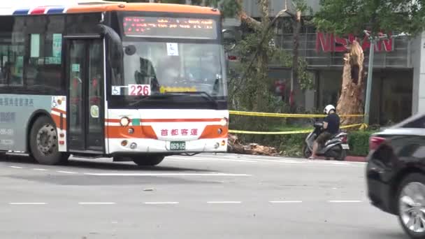 Taipei Taiwan Août 2015 Dommages Route Après Que Tempête Tropicale — Video