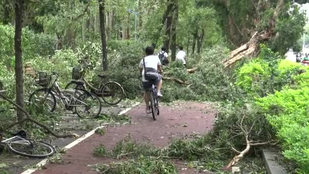 Bike Lane Skador Efter Tropisk Storm Träffar Taiwan Tyfon Soudelor — Stockvideo