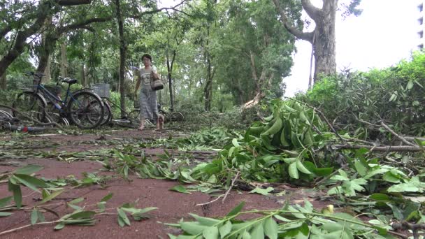 Taipei Taiwan Agosto 2015 Dano Pista Bicicleta Após Tempestade Tropical — Vídeo de Stock