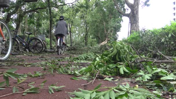 Taipei Taiwan Srpen 2015 Bike Lane Damage Tropical Storm Hits — Stock video