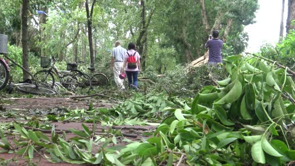 Taipei Taiwan Srpen 2015 Bike Lane Damage Tropical Storm Hits — Stock video