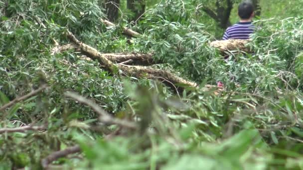 Uszkodzenie Pasa Rowerowego Burzy Tropikalnej Tajwan Tajfun Soudelor Dan — Wideo stockowe
