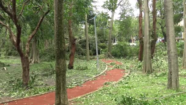 热带风暴袭击台湾后 台风Soudelor Dan对单车道造成的破坏 — 图库视频影像