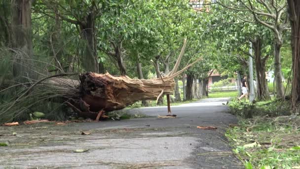 Ζημιές Στο Δρόμο Μετά Την Τροπική Καταιγίδα Χτυπά Την Ταϊβάν — Αρχείο Βίντεο