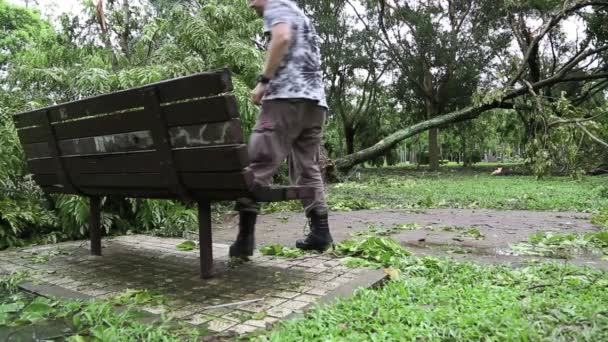 Sétáló Emberek Lehullott Fák Gyökerei Romok Daan Parkból Melyeket Typhoon — Stock videók