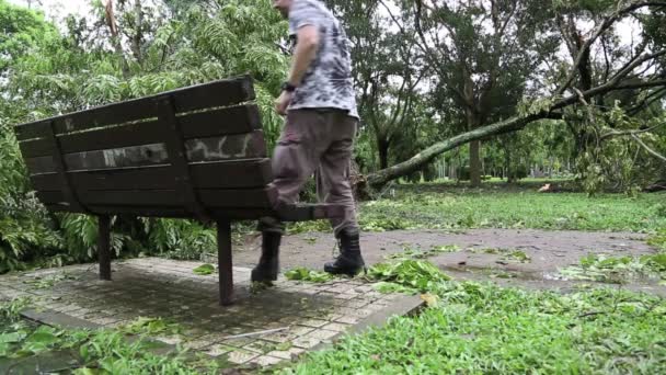 Lidé chodí, kořeny padlých stromů a trosky z Daan parku zničen Tajfun Soulik, v Taipei, Tchaj-wan2013. Ideální pro videa o přírodních katastrofách, tajfunech, monzunech, hurikánech.