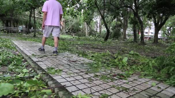 台湾台北2013年台风苏力克摧毁的大安公园中的行人 倒下的树木和残骸 完美的视频 关于自然灾害 — 图库视频影像