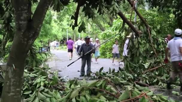 2013年7月13日台北市 台風ソリクによる大安公園の木々や倒木 残骸を伐採する人々自然災害 モンスーン ハリケーン ダンについての動画に最適 — ストック動画