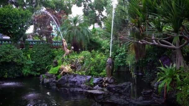 Hermosa Fuente Con Estatua Dragón Chino Pez Koi Templo Budista — Vídeos de Stock