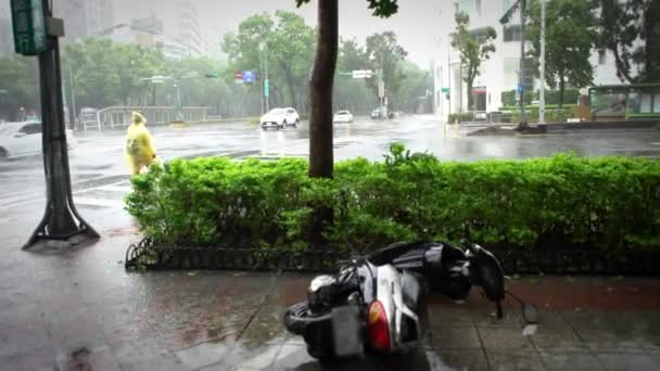Taipeh Taiwan September 2016 Extreme Wind Rain Super Taifun Megi — Stockvideo