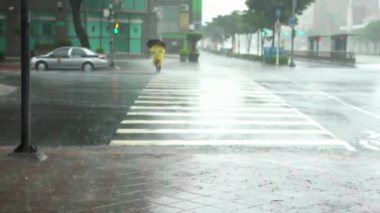 Taipei, Tayvan-27 Eylül 2016: 4k Extreme Wind And Rain during a Super Typhoon Megi, Asyalılar kavşağında, Taipei caddesinde yaya geçidinde sarı bir yağ tulumu ve şemsiye kullandılar. Güçlü kasırga Dan.