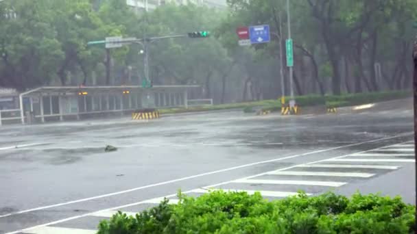 Extreme Wind Rain Super Typhoon Megi Asian People Crowalk Street — 비디오