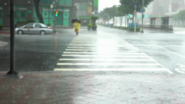 Taipei Taiwán Septiembre 2016 Extreme Wind Rain Super Typhoon Megi — Vídeos de Stock