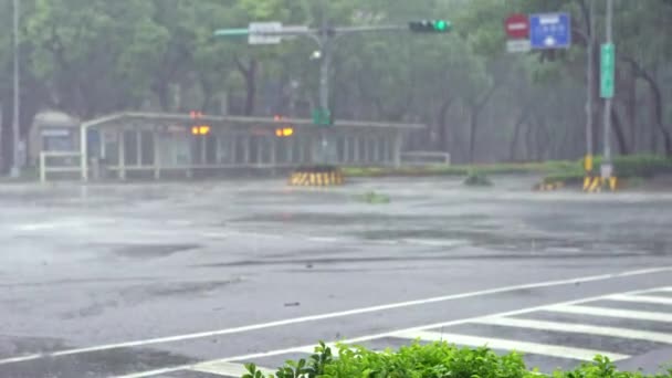 2016 スーパー台風Megi中の4K極端な風と雨 強いハリケーン風が吹く台北の街 アジアの道路で車の交通 — ストック動画