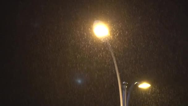 Slow Motion View Streetlight While Rains Road Night City Raining — Stock Video