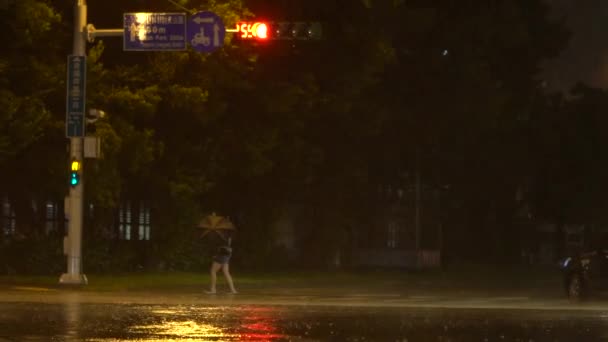 台湾台北 2017年7月29日 台北市台风内萨特期间 带着雨伞艰难地穿过街道的慢动作行人妇女 风雨交加的夜晚强烈的飓风 台湾丹 — 图库视频影像