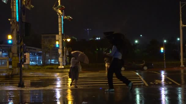 Taipei Taiwan July 2017 Lassú Mozgás Gyalogosok Esernyővel Küzd Hogy — Stock videók