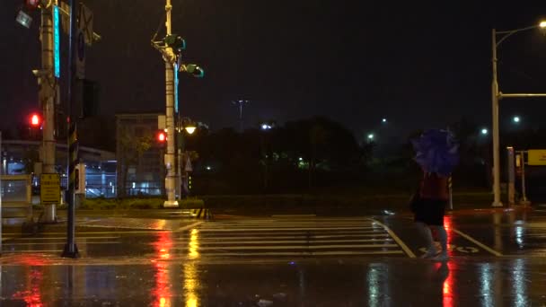 Taipeh Taiwan Juli 2017 Fußgänger Mit Regenschirm Quälen Sich Während — Stockvideo