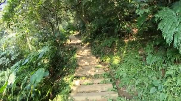 4K De longs escaliers rocheux sur la montagne Xindian à Taipei, Taiwan. Pov de monter les escaliers. Escalade une montagne naturelle accidentée et densément boisée. Sentier du parc national Dan 