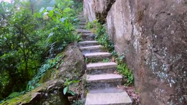 台湾台北市仙台山的4K长石阶 爬楼梯的坡 爬上一座天然崎岖密林的山 国家公园小径 — 图库视频影像