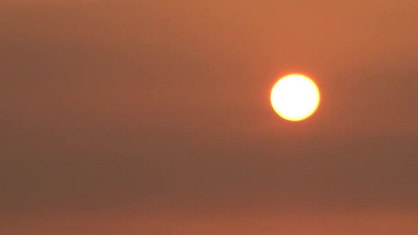 태양은 부드럽게 물결치는 표면에 빛나며 대양의 반사되는 햇빛이다 Sunset Tamshui — 비디오