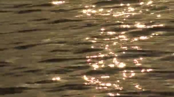 Sol Brilha Sobre Superfície Oceano Suavemente Ondulando Luz Solar Refletindo — Vídeo de Stock