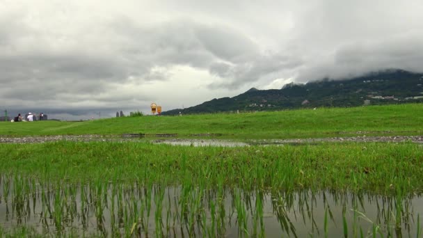 Krajobraz Parku Nadrzecznego Nad Rzeką Tamsui Trawą Kałużą Wodą Spokojnej — Wideo stockowe