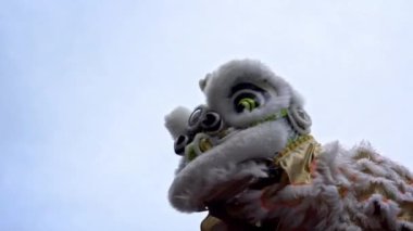 Yavaş çekim Tayvan aslanı, Tayvan festivallerinde bir Matsu tapınağı fuarının önünde dans eder. Taipei şehrinin Dan sokağında dans eden akrobatik sarı aslanlarla geçit töreni.