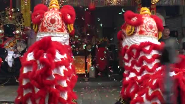 Тайбей Тайвань Травня 2017 Танець Повільного Руху Тайванський Лев Попереду — стокове відео