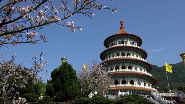 淡水天元法輪功寺の4K桜の花 天壇は異なる道教の神々に捧げられた背の高い塔の神社です 天元は台北市の観光地 — ストック動画