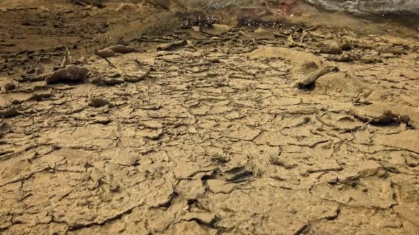 Paisagem Terra Seca Rachada Árida Terra Sem Água Dan — Vídeo de Stock