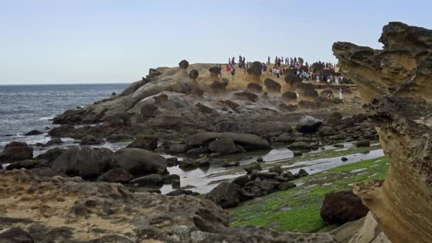 Taipei Tayvan Mayıs 2015 Tayvan Yehliu Geopark Mantar Şekilli Wanli — Stok video