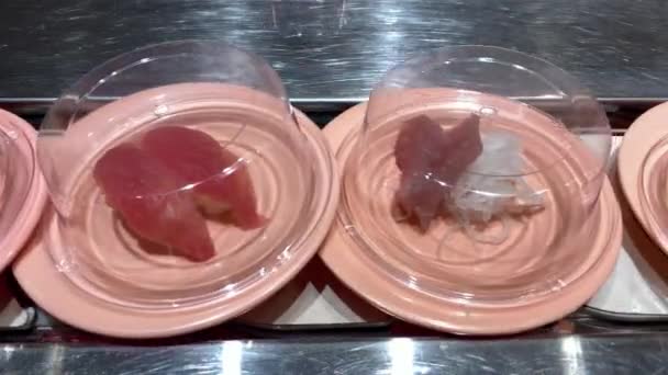 Sushi Cinta Transportadora Móvil Restaurante Japón Comida Tradicional Japonesa Kaitenzushi — Vídeo de stock