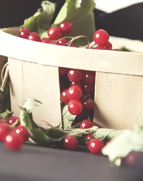 La cesta de madera recogida en su viburno rojo de bayas maduras sobre una mesa —  Fotos de Stock