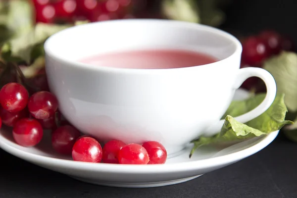 Hintergrund von köstlichem Tee mit roten Viburnum-Beeren — Stockfoto