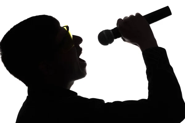 Concerto de um artista cantando no microfone — Fotografia de Stock