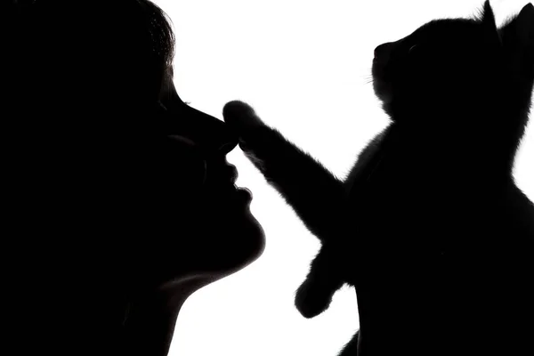 Silhouette of a female face with a small kitten that put a paw on the nose of girl on white isolated background — Stock Photo, Image