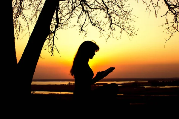Silhouette einer Frau, die bei Sonnenuntergang in der Natur die Bibel studiert, Konzept Religion und Spiritualität — Stockfoto
