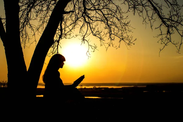 Silhueta de uma mulher estudando a Bíblia na natureza ao pôr do sol, religião conceito e espiritualidade — Fotografia de Stock